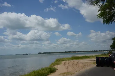 DSC_7629 (Large).JPG